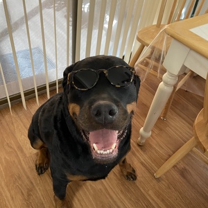 Fundraising Page: Maria Crespo